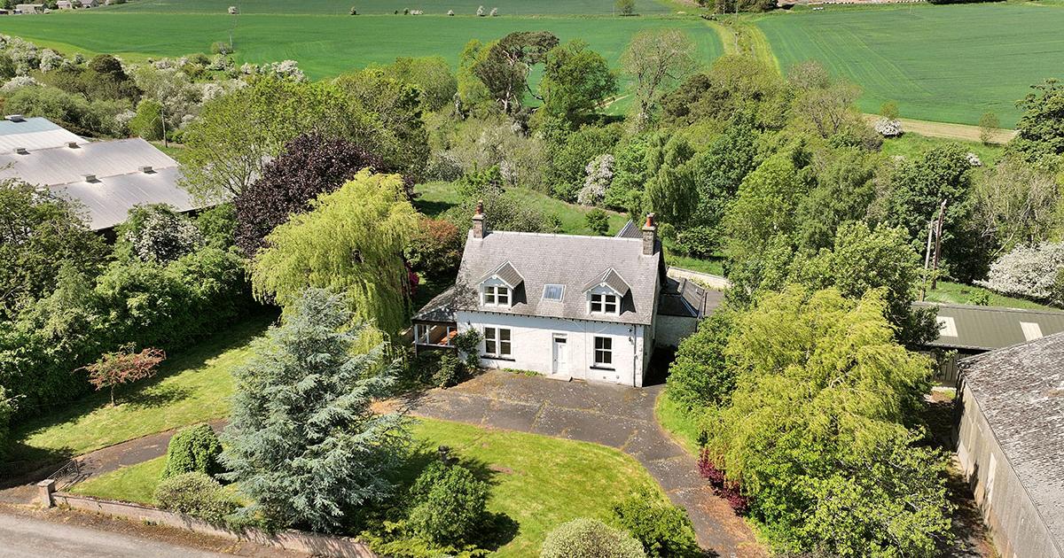Quality Scottish Borders farm brought to the market