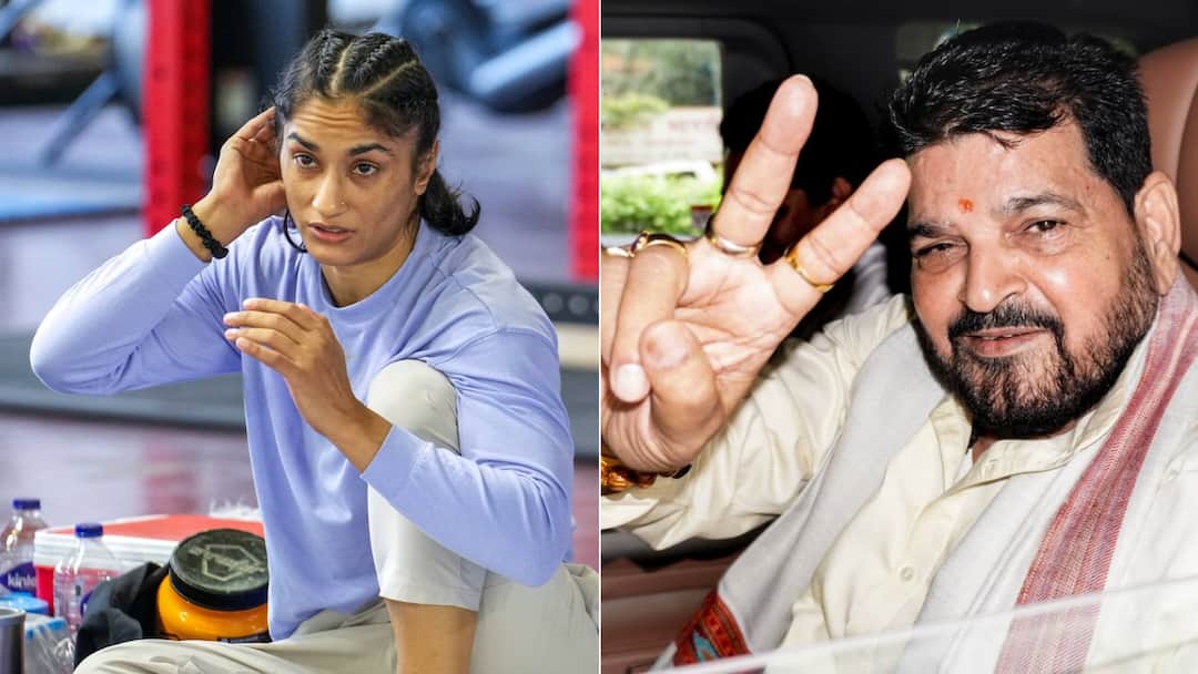 Vinesh Phogat Breaks Silence After Brij Bhushan Verdict, Says System Protected Him