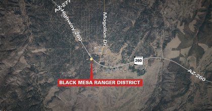 9 horses shot in Arizona forests; investigators looking for tips