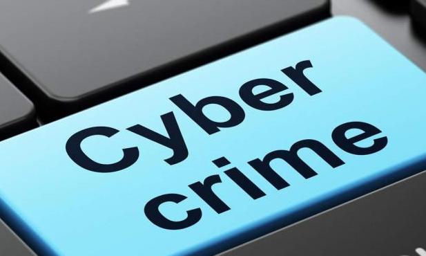 Woman Loses ₹2.3 Cr in Fake Investments