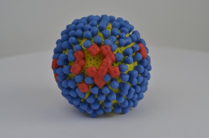 Cleveland Clinic research suggests age-specific flu vaccines more effective