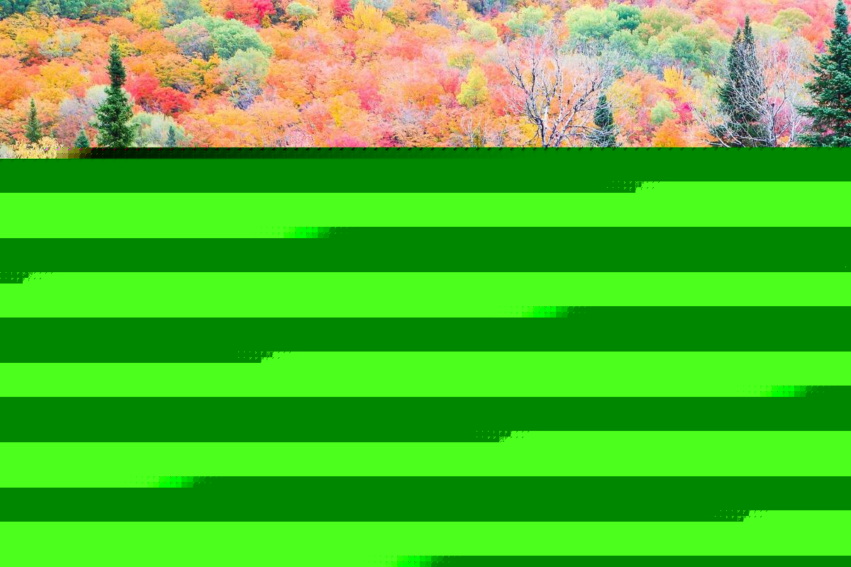 Columbia River Gorge Ranks #2 for Best Fall Foliage in 2026