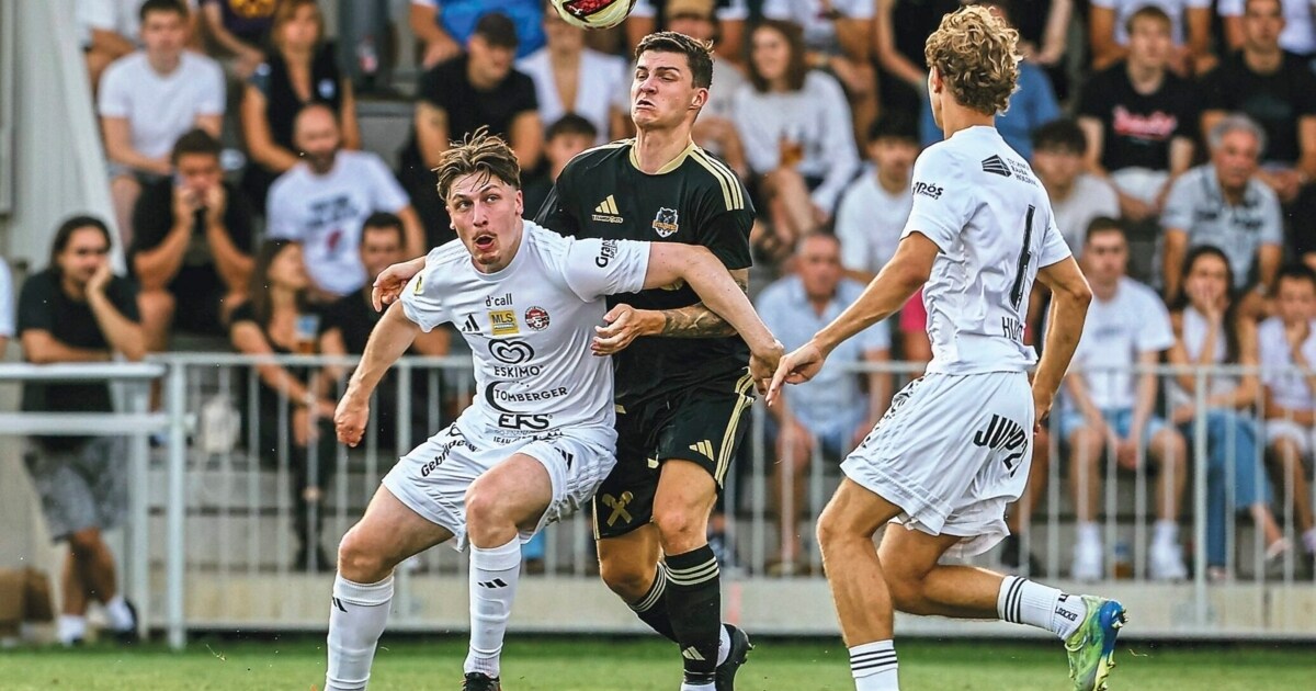 Neue Regionalliga - „In die Top-4 zu kommen, wird immens schwer!“