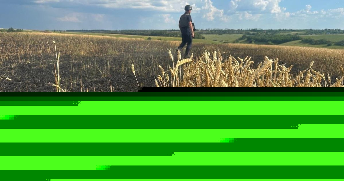 В Запорожской области из-за российских ударов потеряли более 1800 гектаров посевов