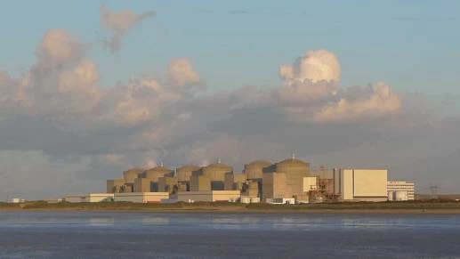 Massive swarm of jellyfish shuts down French nuclear plant
