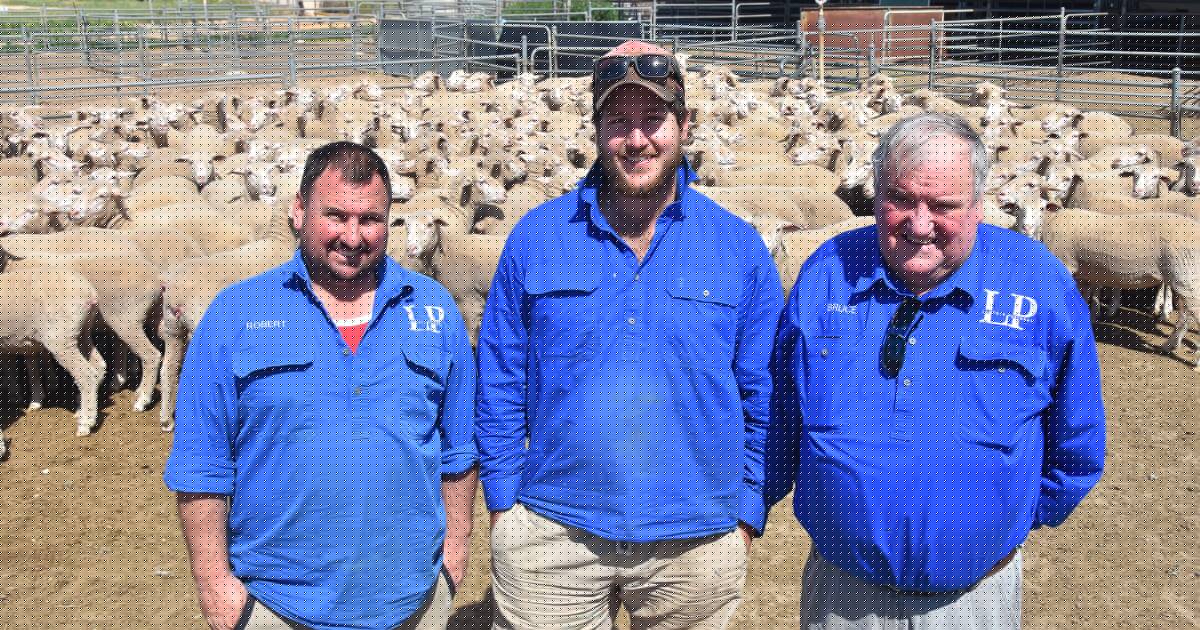 The rituals, tales and triumphs of 75 years of selling at Lameroo offshears