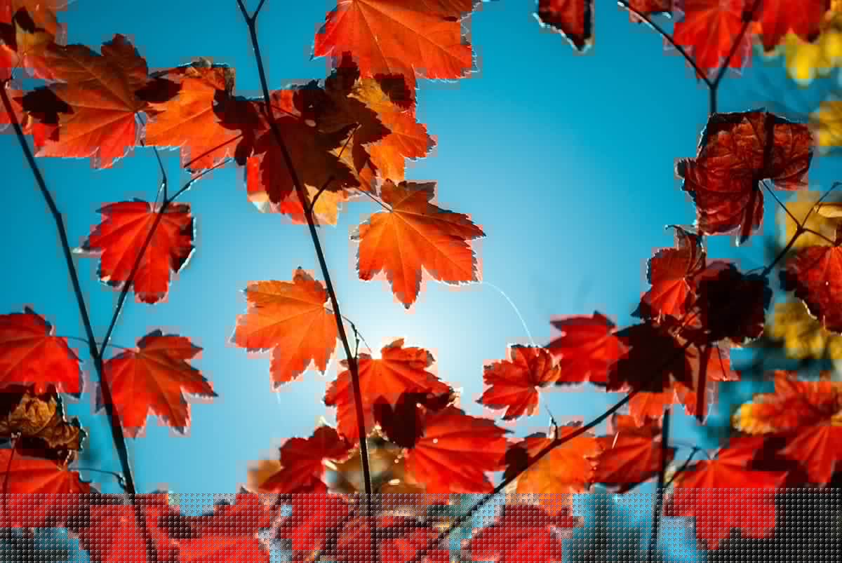 Iowa Fall 2026 Looks Warm And Dry Says Farmers Almanac