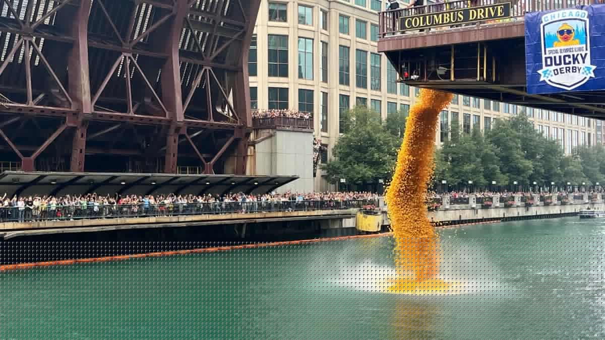 90.000 Bebek Karet Dibuang ke Sungai Chicago, Ini Tujuannya