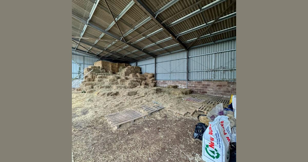 Somerset animal sanctuary opens fundraiser to rebuild hay stocks