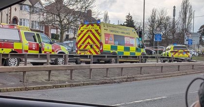 Man dies after being struck by bus