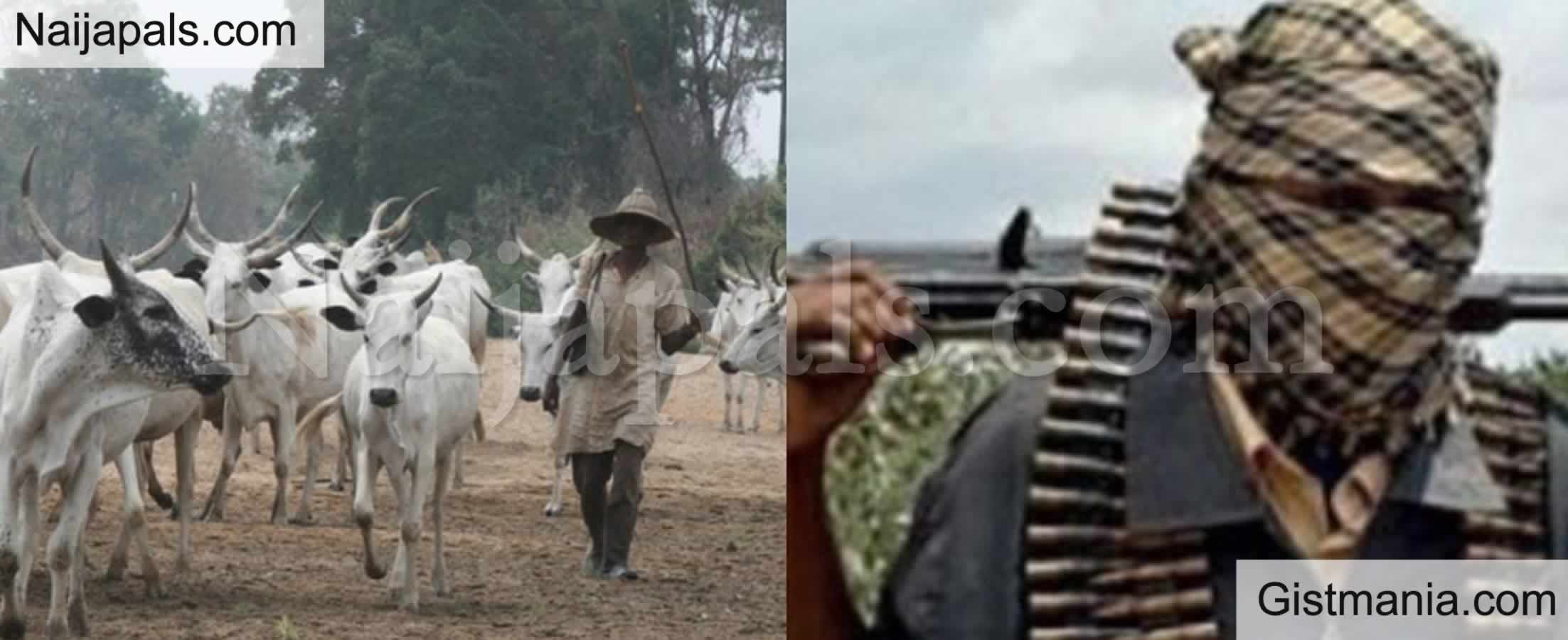 Suspected Fulani Militants Attack Another Plateau Community, Kill Pastor’s Son