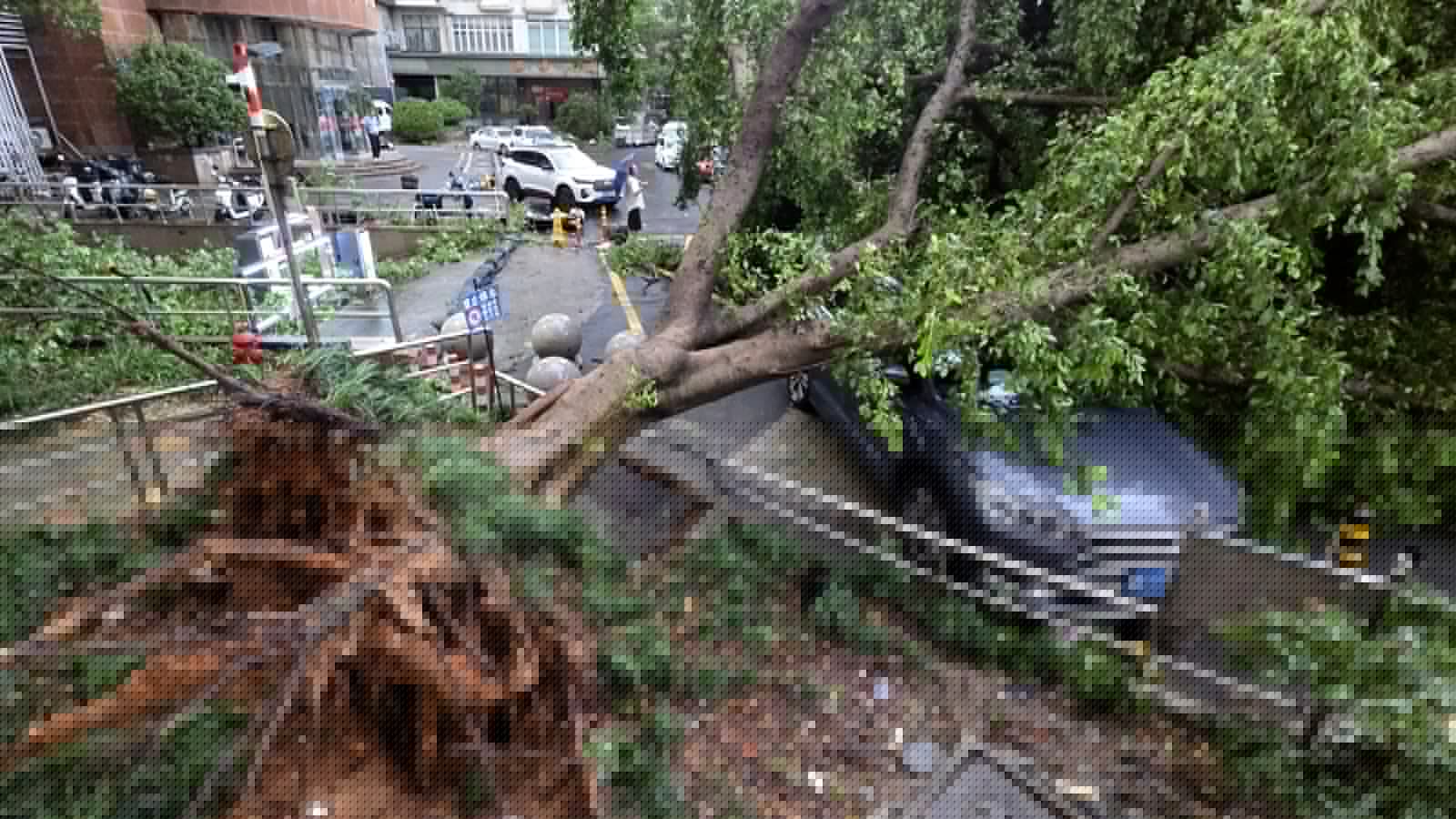 Tropical storm causes some flooding in eastern China