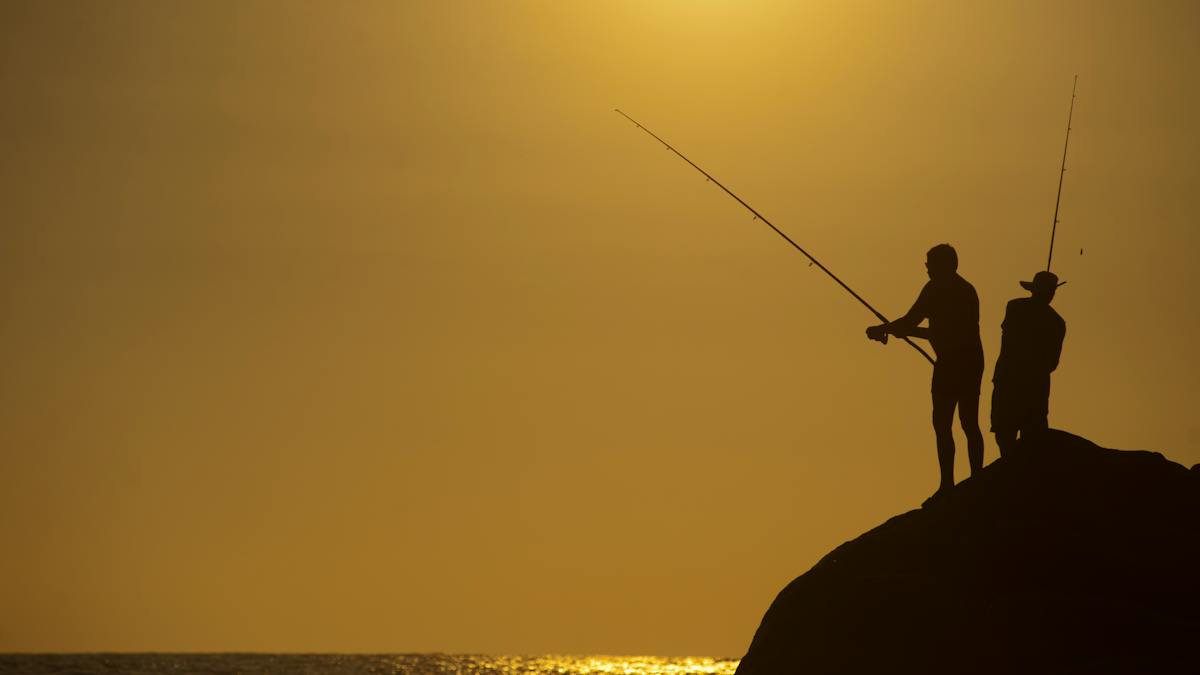 Comment on Online application for recreational fishing permit in South Africa: How to do it by steel series