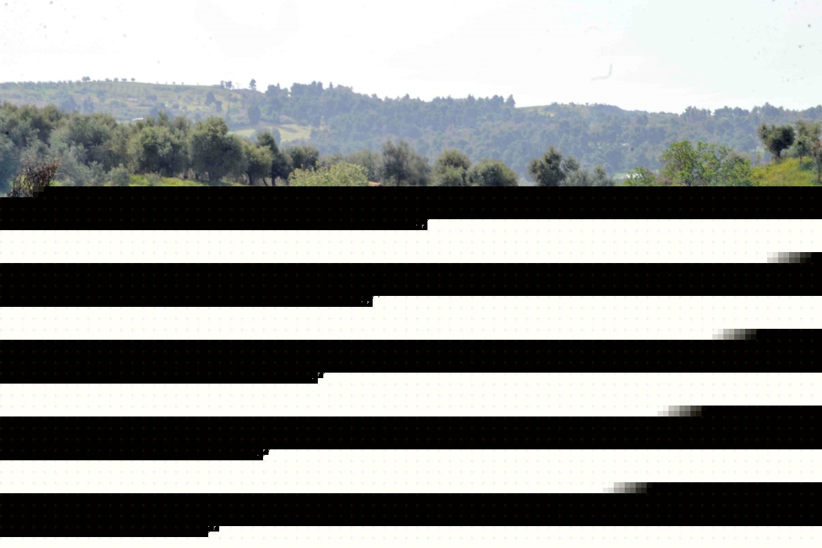 ΕΛΓΑ: Εξήντα προσλήψεις με συμβάσεις εργασίας έως οκτώ μήνες – H προθεσμία για τις αιτήσεις