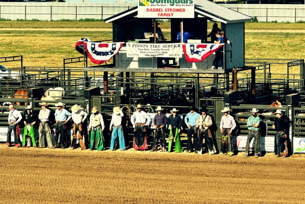 New chutes, pens improve safety at rodeo arena