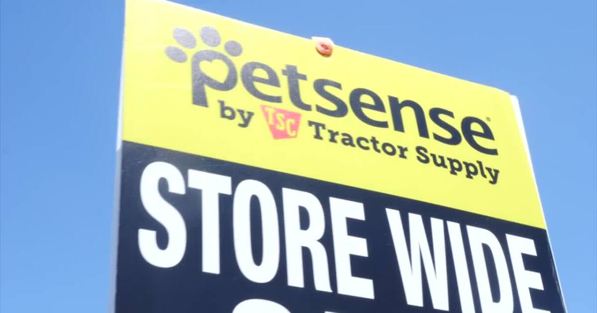 Street dogs animal rescue searching for new adoption site as Opelousas pet store prepares to close