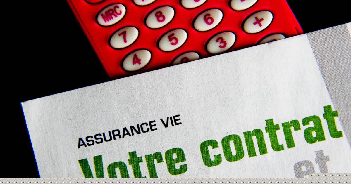 Épargne. Du jamais-vu en 20 ans : l'assurance vie très plébiscitée par les Français au premier semestre 2026