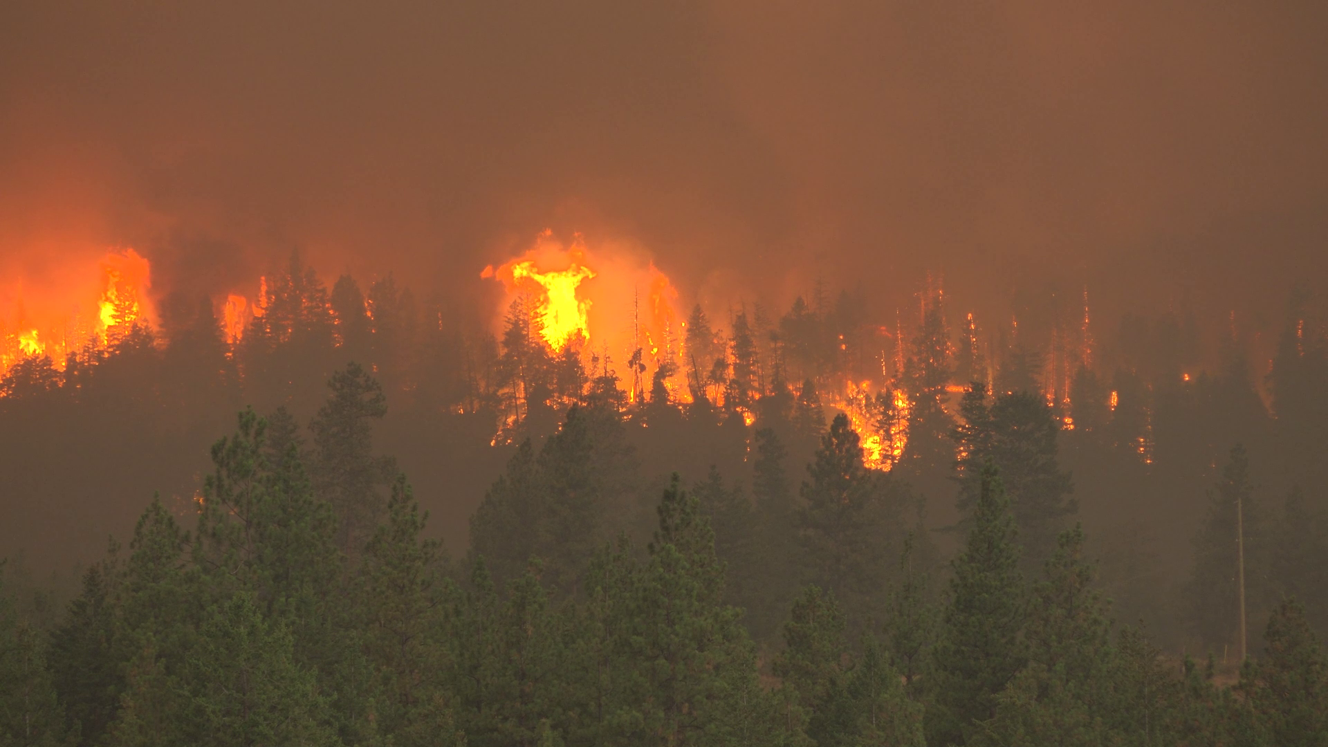 B.C. declares state of emergency as wildfires rage