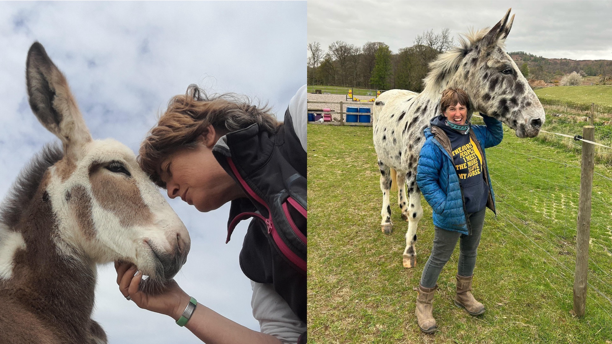 Meet Milton the 16hh spotted mule who’s ridden tackless, plays football and lives with mammoth donkeys