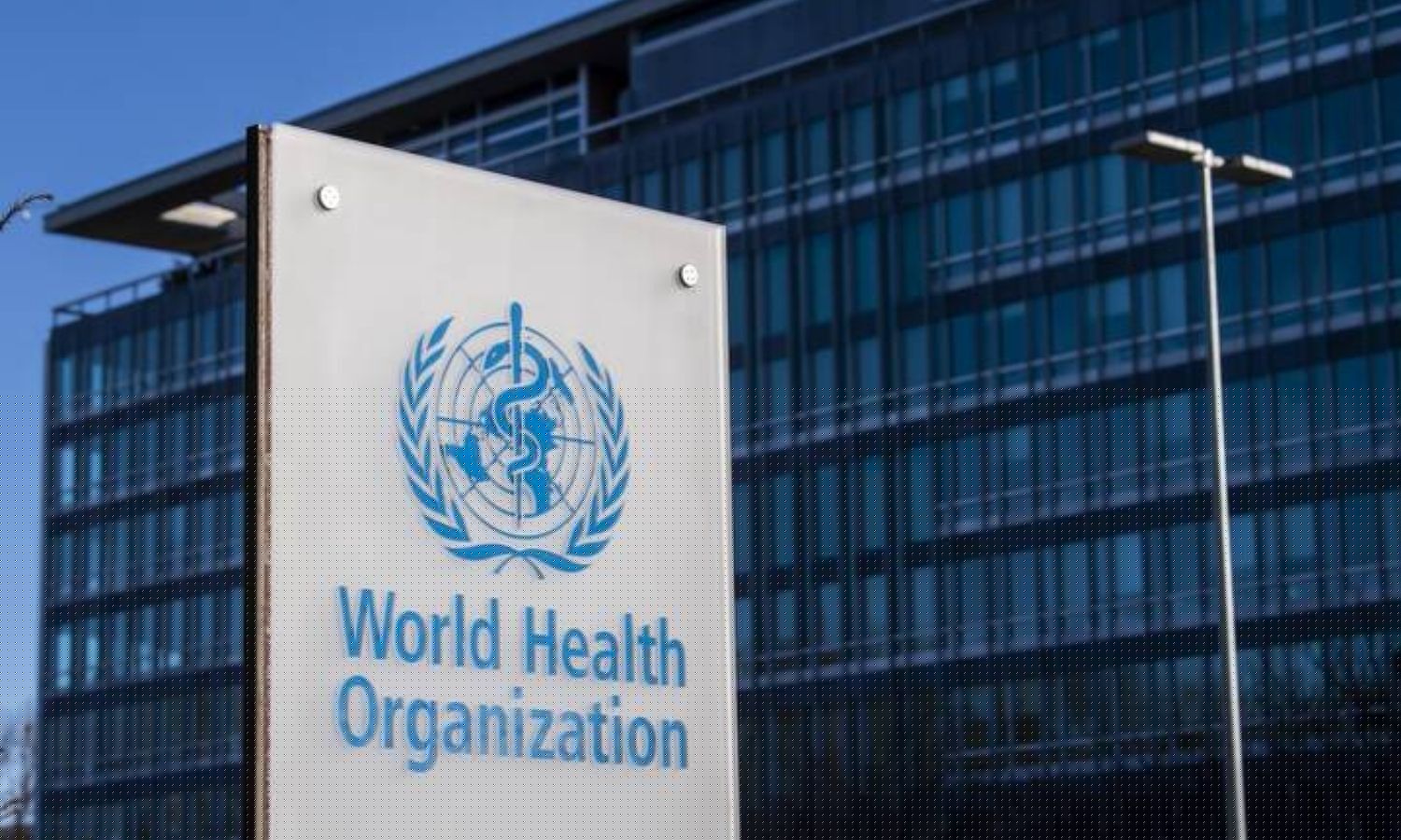 WHO Cancer Agency IARC Classifies Hydrochlorothiazide, Voriconazole, Tacrolimus as Human Carcinogens