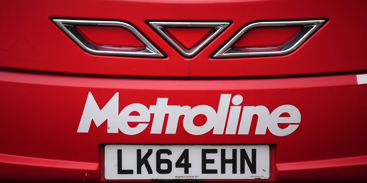 'Hero' London bus driver sacked after he chased down thief who stole passenger's necklace