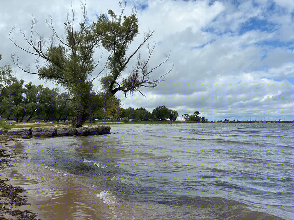 Swim advisory lifted for Kelso Beach at Nawash Park