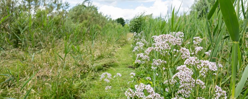 Van varkensstal naar natuurparadijs