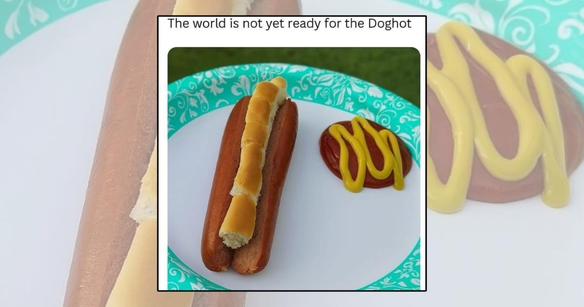 21 Cooking Fails for Optimistic Home Chefs Learning to Trust the Process (July 29th, 2026)