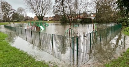 Gardeners urged to act after Storm Chandra to avoid costly repairs and pests