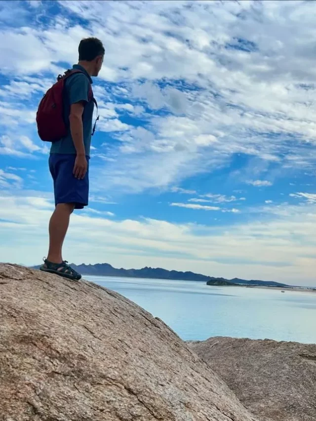 Top 20+ Best Things to do in La Paz, Mexico in 2024