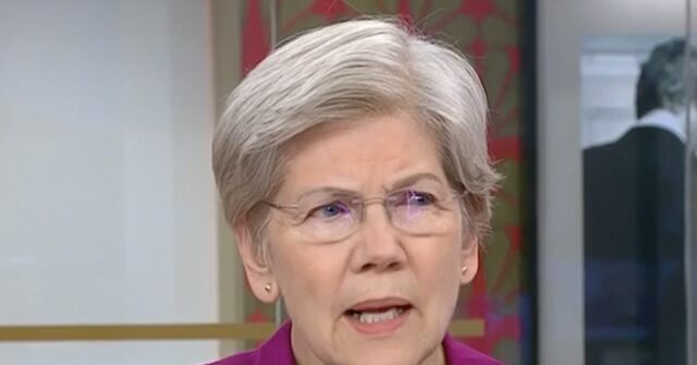 Elizabeth Warren: Republicans Are 'Queasy' About Voting Yes for Blanche