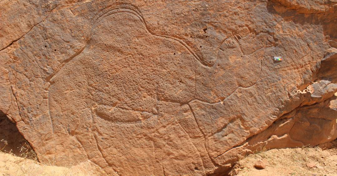 Arte rupestre de tamanho real retrata vida na pré-história no deserto; confira imagens