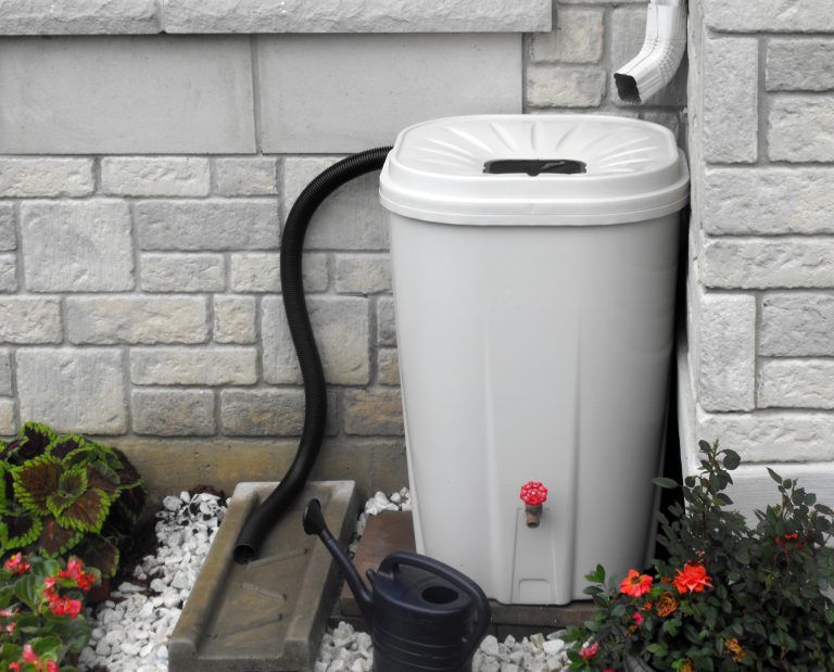Toronto's rain barrel program derailed as ‘overwhelming demand’ crashes website