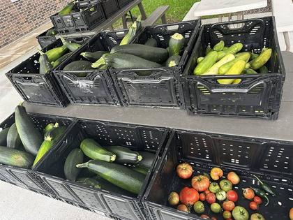 Growing Health: OSF St. Mary&rsquo;s Community Garden and ER Expansion