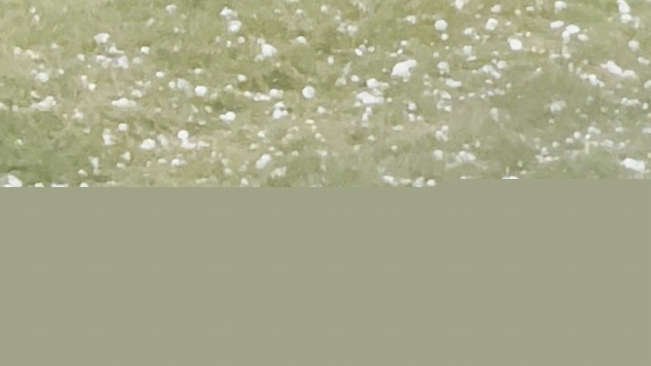 Large hail comes down in Glendale Heights