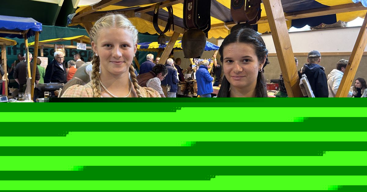 Goldenes Händchen für Käse: Almkäseolympiade knackte neuen Rekord