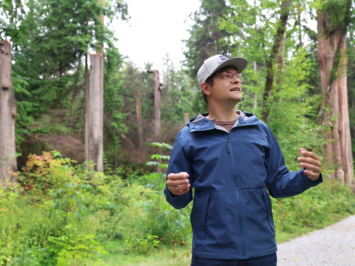 Here's how crews would respond to a wildfire in Stanley Park