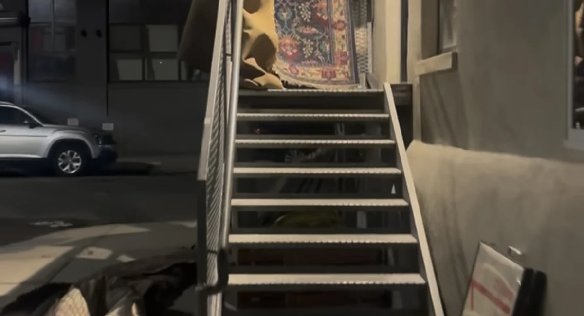 $4,300 in missing rugs, online shame, 7 hours in NYPD custody: A stooping story