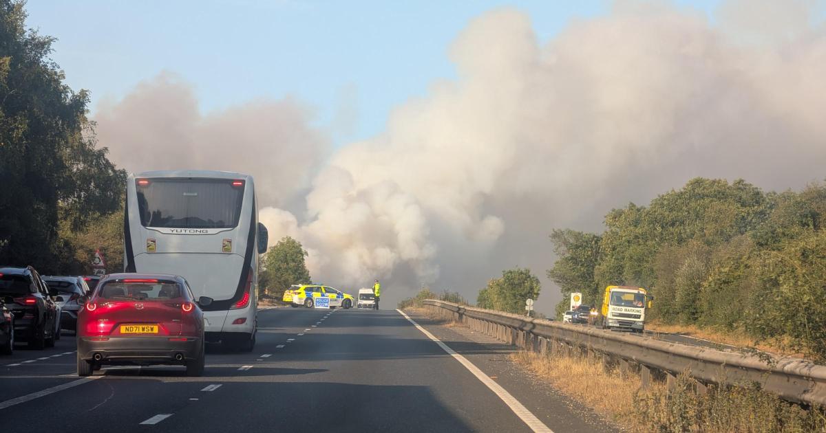 LIVE - A31 closed due to vehicle fire with smoke seen for miles around
