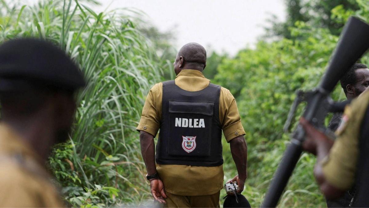 Cómo los cárteles mexicanos han expandido los laboratorios de metanfetamina en África