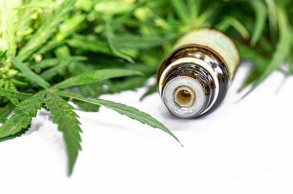 Cannabis medicinal: o que muda com novas regras da Anvisa?