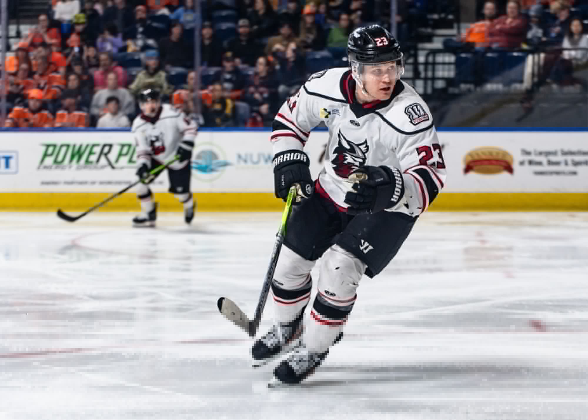 ECHL: Forward Loven returns to Adirondack
