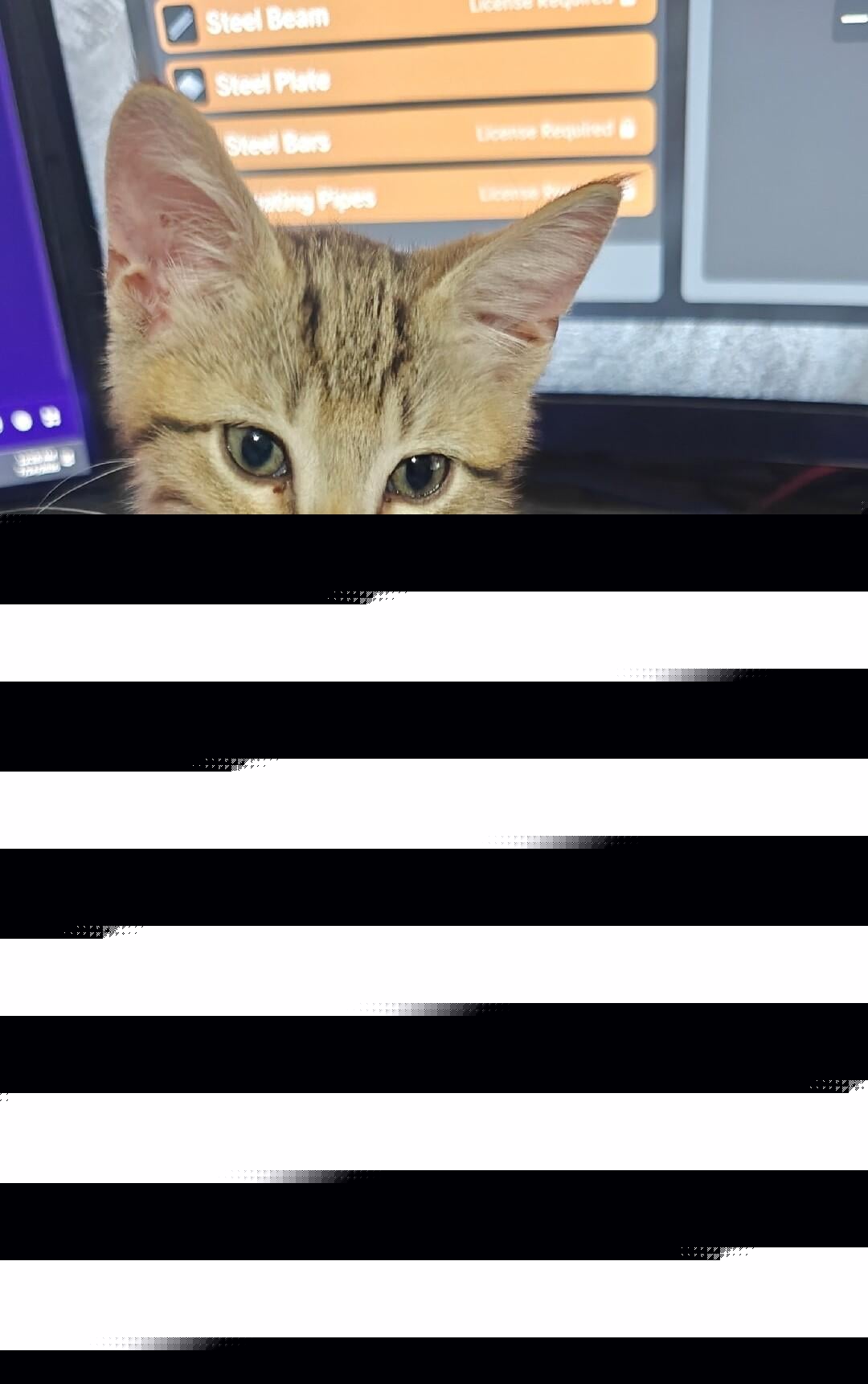 Cats - Gaming