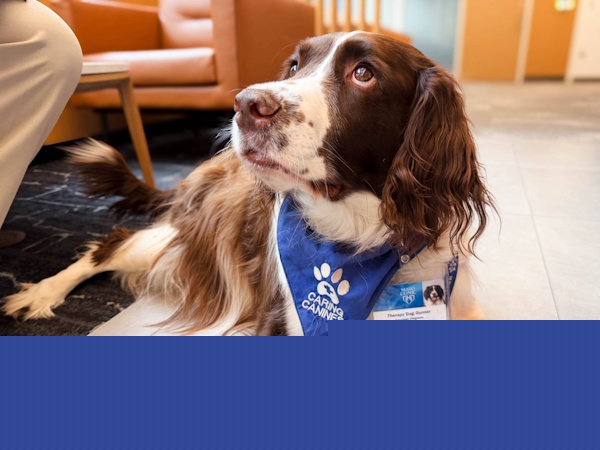 Mayo Clinic Study Highlights Benefits Of Animal-Assisted Treatment In Stroke Rehabilitation (Video)