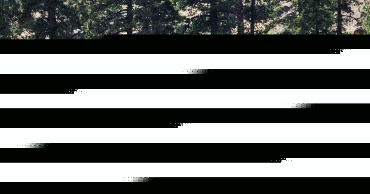 Man goes missing while camping in Big Bear, found dead