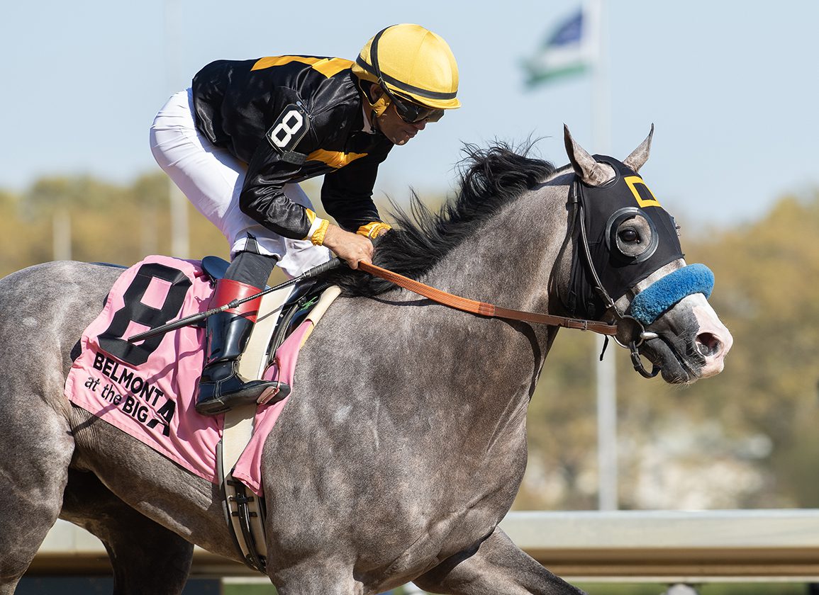 ‘Napoleon’ Dynamite: Liam’s Map Colt Napoleon Solo Romps in Champagne