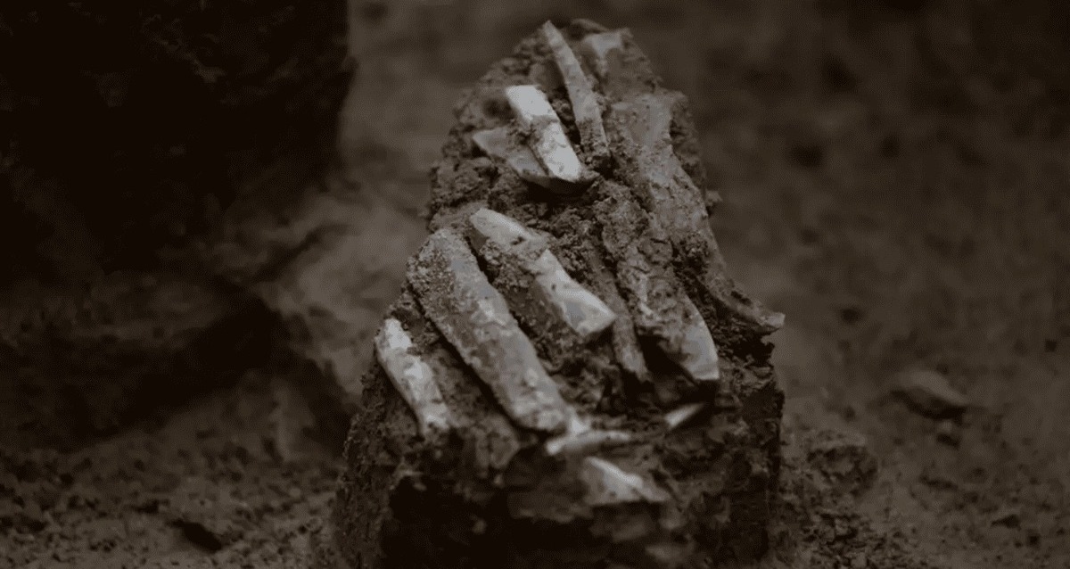 Archaeologists In The Czech Republic Found An Ice Age Hunter’s Toolkit Dating Back 30,000 Years