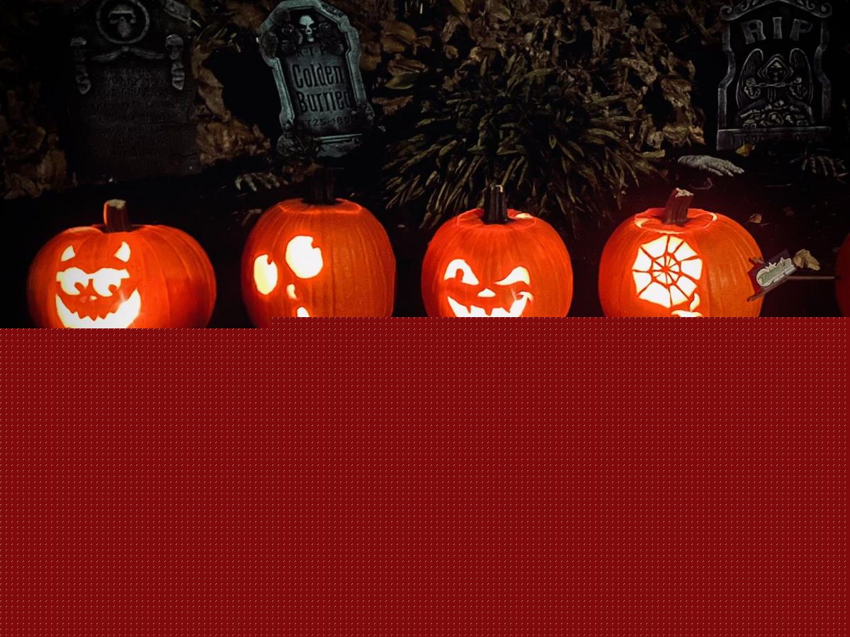UCP Maine to Host 23rd Annual Pumpkins in the Park in October