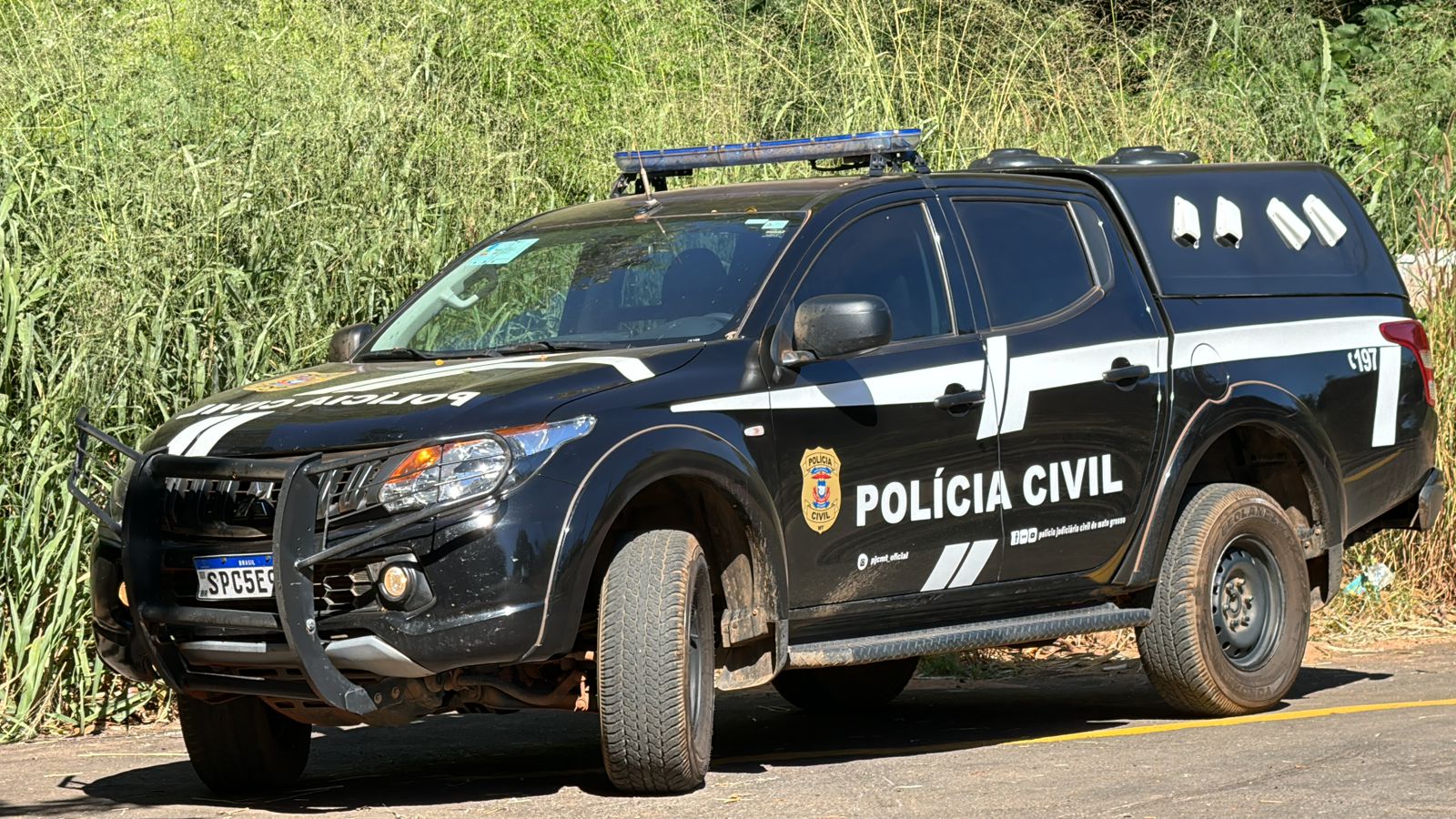 Investigado por maus-tratos a bezerros é preso em Mato Grosso; armas apreendidas