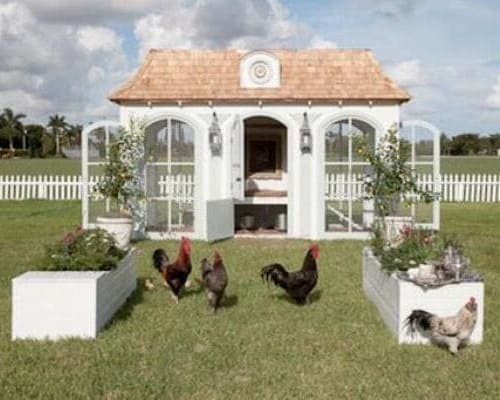 Comment on Chicken coops must withstand Cat 3 storms by Anonymous